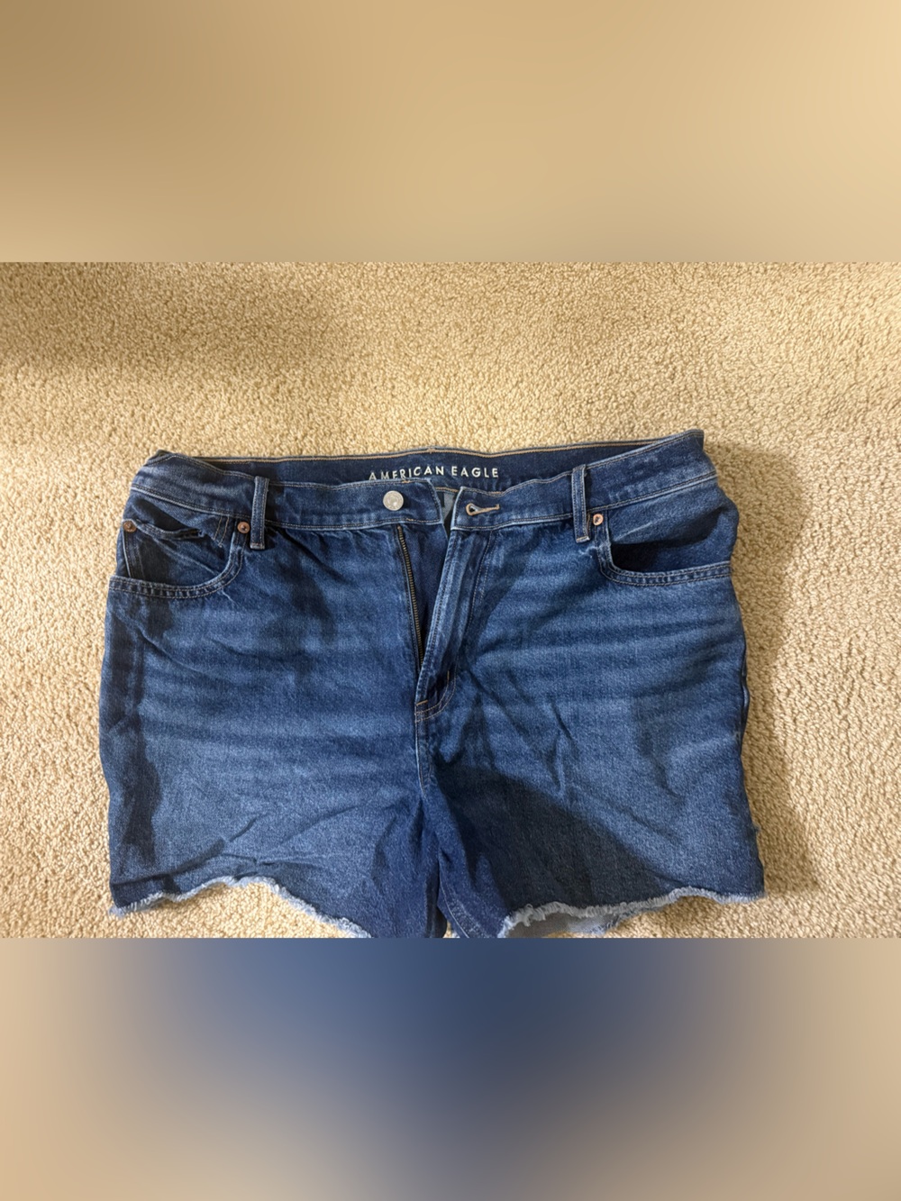 American Eagle Outfitters Blue Frayed Hem Denim Shorts